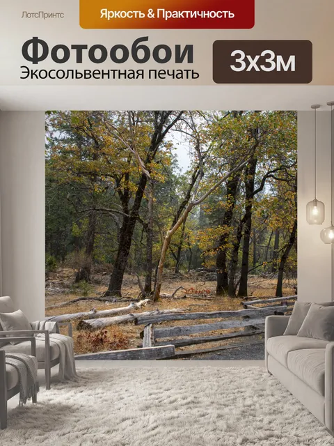Фотообои Осеннее Поле