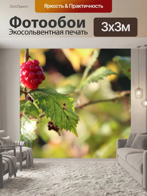 Фотообои Ягода