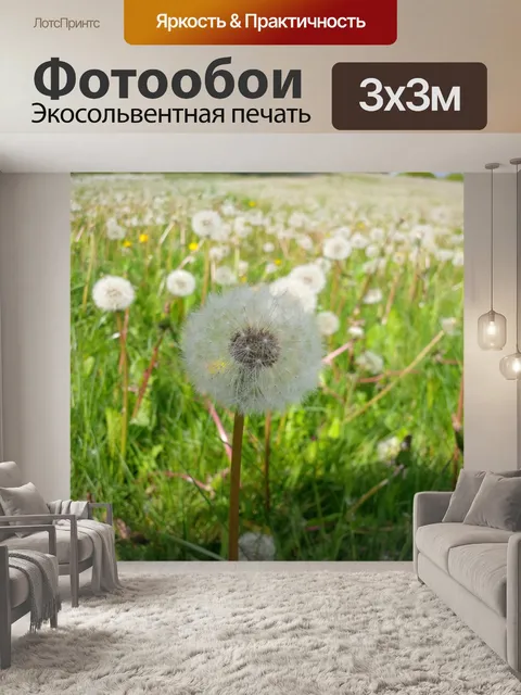Фотообои Одуванчик 1