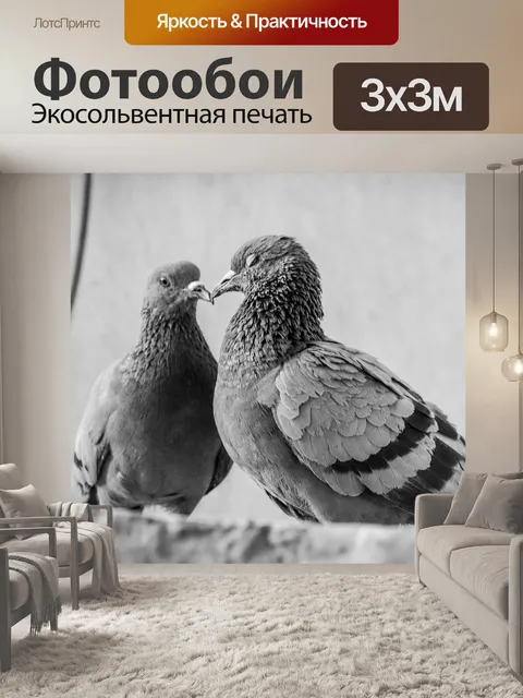 Фотообои Птица