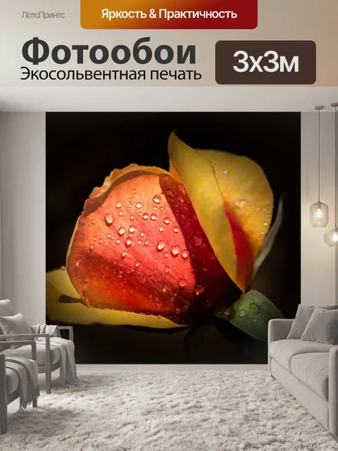 Фотообои Роза