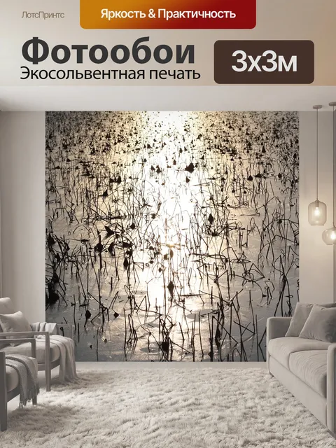 Фотообои Заход солнца