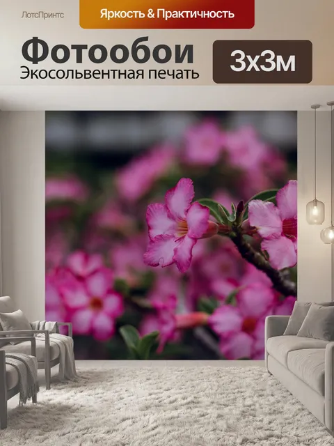 Фотообои Увлекательно