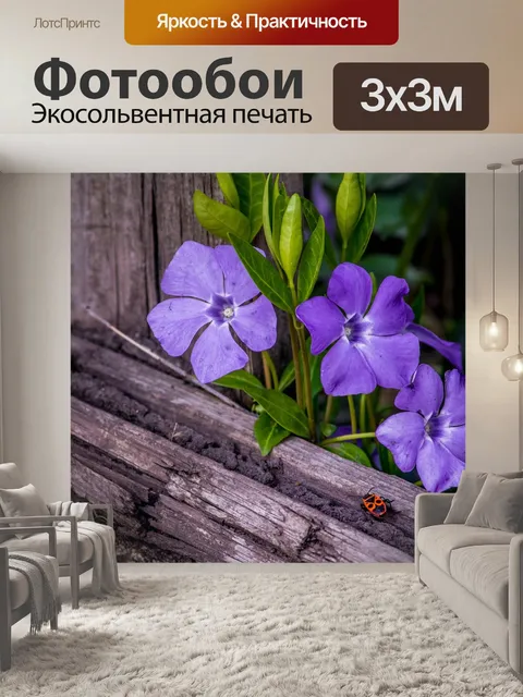 Фотообои Цветы