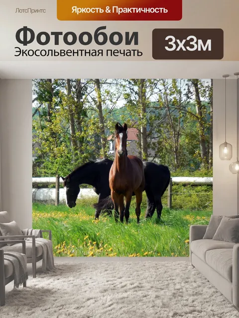 Фотообои Лошади