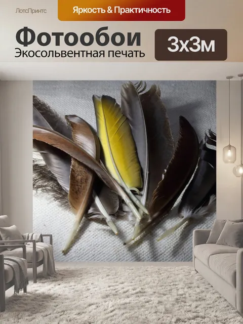 Фотообои вид на коллекцию перьев