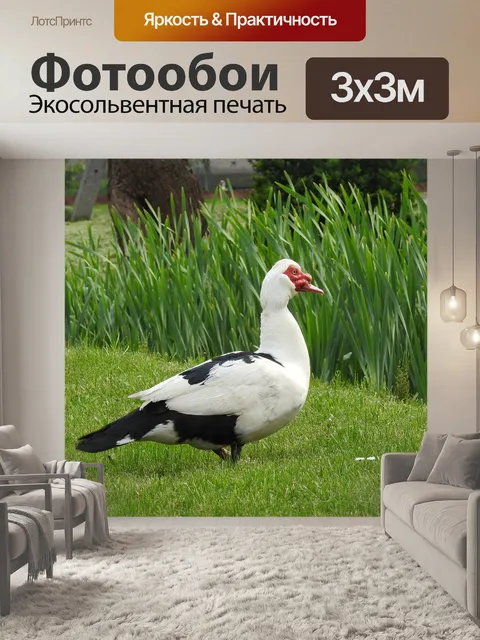Фотообои Природа