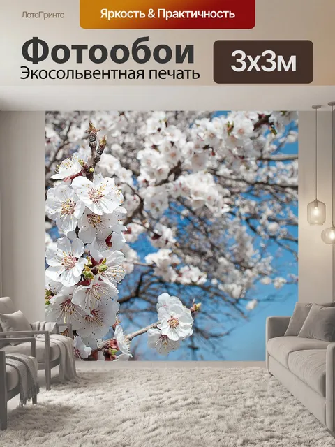 Фотообои Цветы