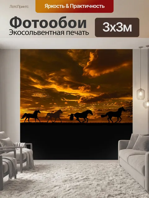 Фотообои Заход солнца