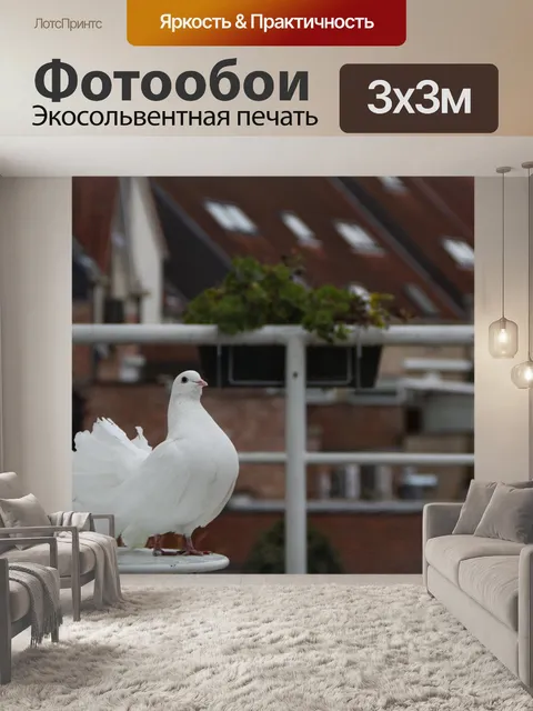 Фотообои Птица
