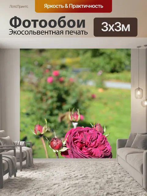 Фотообои Расцветает