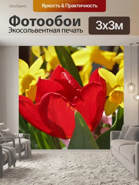 Фотообои Красный тюльпан и желтые нарциссы