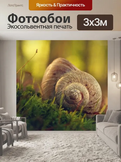 Фотообои Улитка ракушка лесной мох