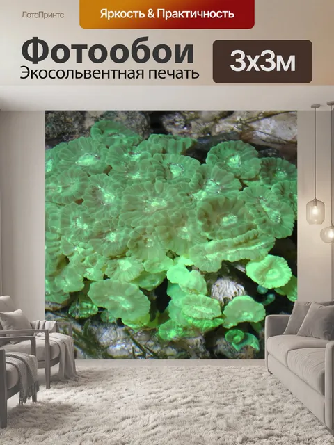 Фотообои Зеленый океан море Коралловые