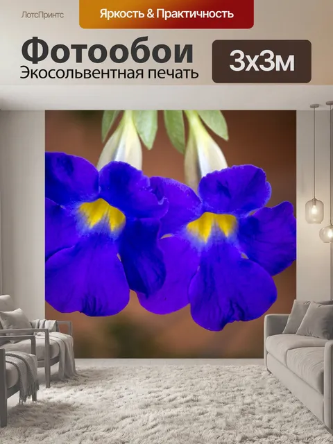 Фотообои Фиолетовый цветок