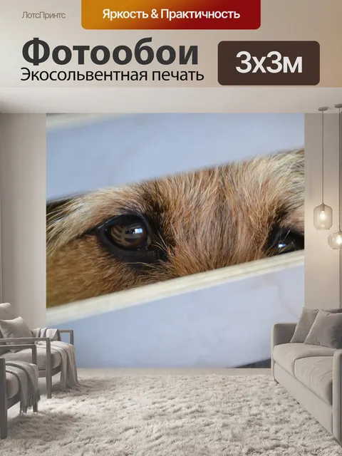 Фотообои Собака