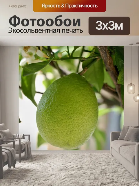 Фотообои Лимон