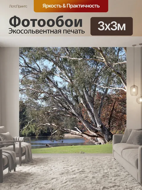 Фотообои Деревья