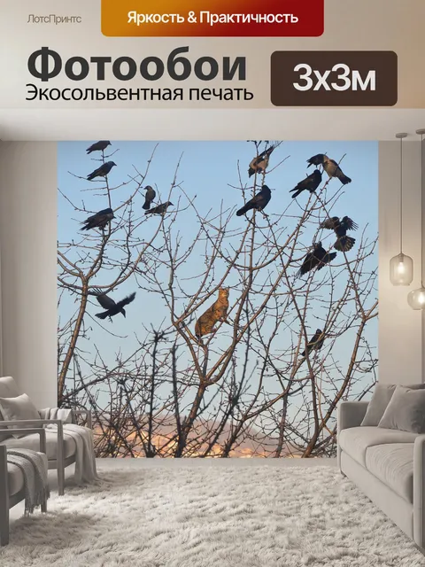 Фотообои Животные