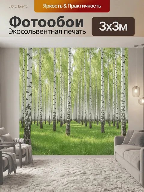Фотообои Берёзовая роща с зелёной травой