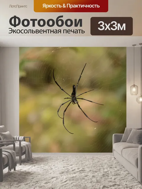 Фотообои Насекомое