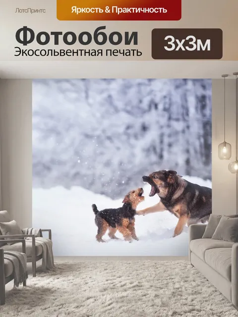 Фотообои Зима