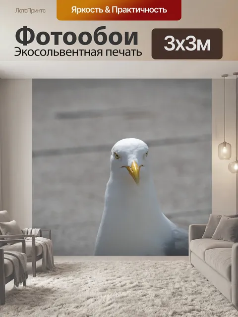 Фотообои Голова чайки