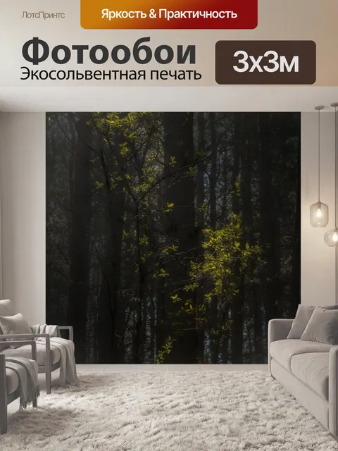 Фотообои Лес