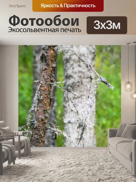 Фотообои Мох