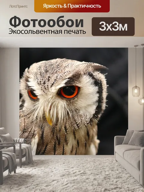 Фотообои Птица
