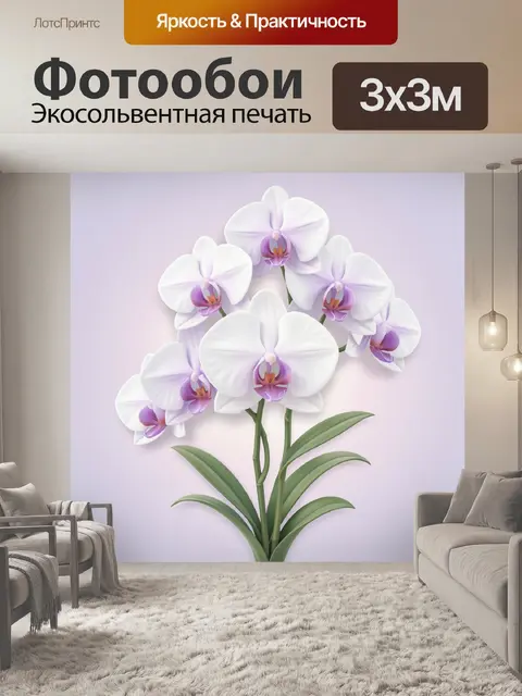 Фотообои Белые орхидеи фаленопсис с фиолетовыми акцентами