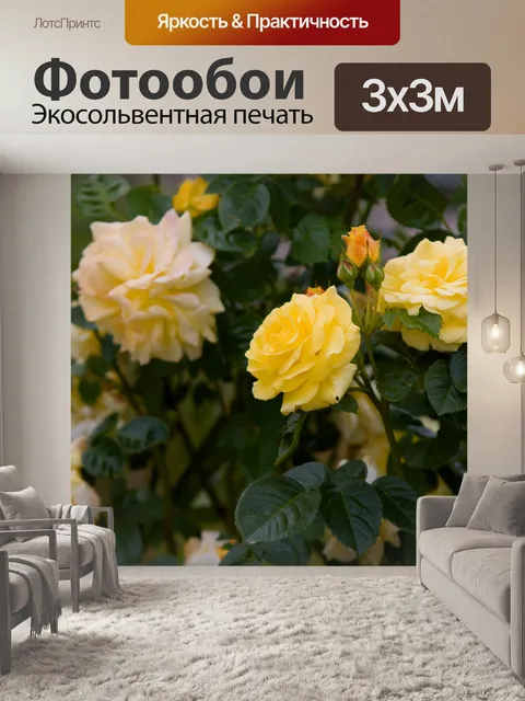 Фотообои Желтые розы