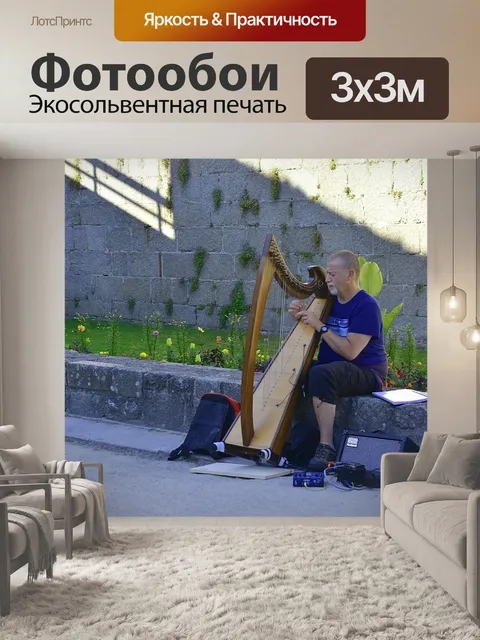 Фотообои Музыкант