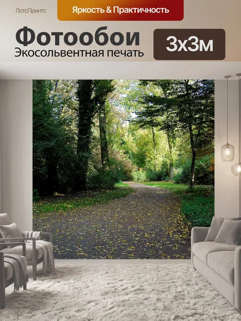 Фотообои Лес