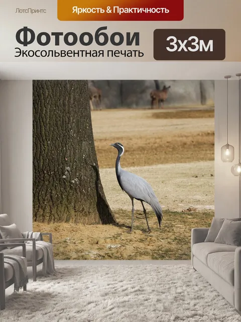 Фотообои Птица