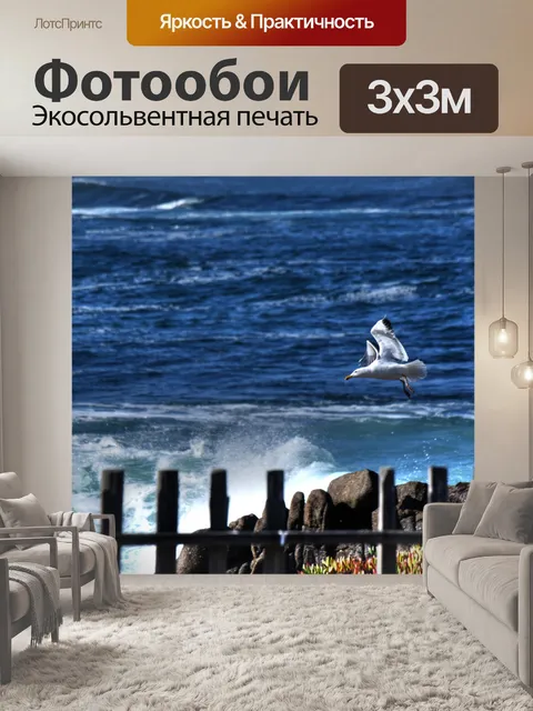 Фотообои Чайка в полете