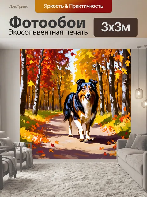 Фотообои картинка колли, идущего по лесной дорожке, окружённому осенними листьями