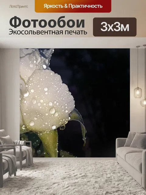 Фотообои Роза