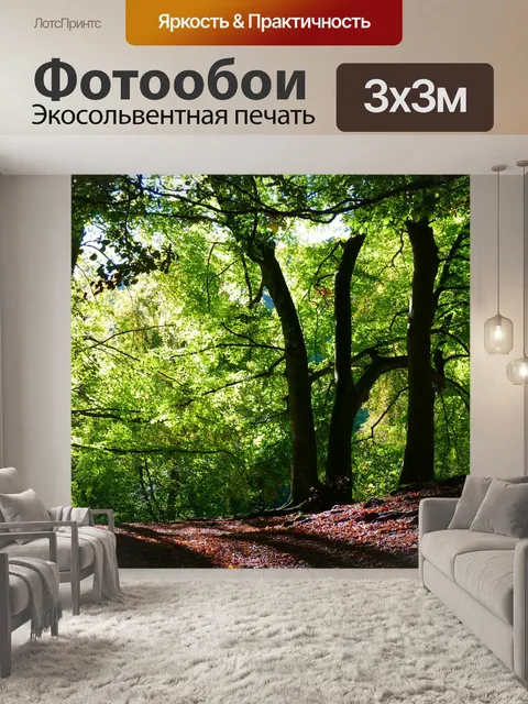 Фотообои Лес