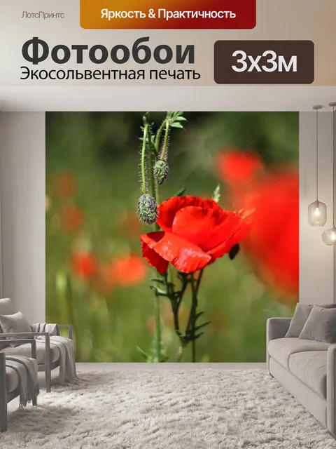 Фотообои Цветы