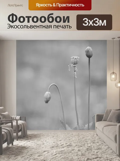 Фотообои Маки