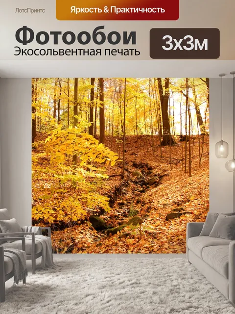 Фотообои Солнечный осенний лес