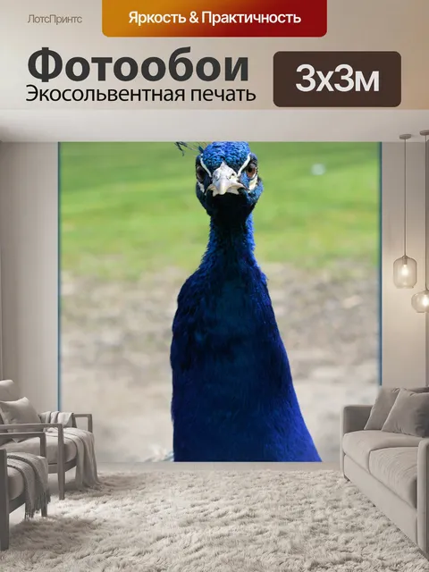 Фотообои Павлин 1
