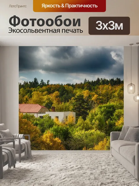 Фотообои Лес