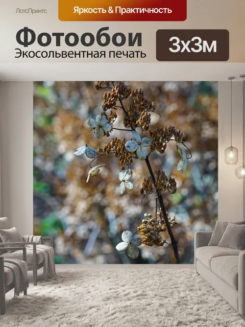 Фотообои Цветы