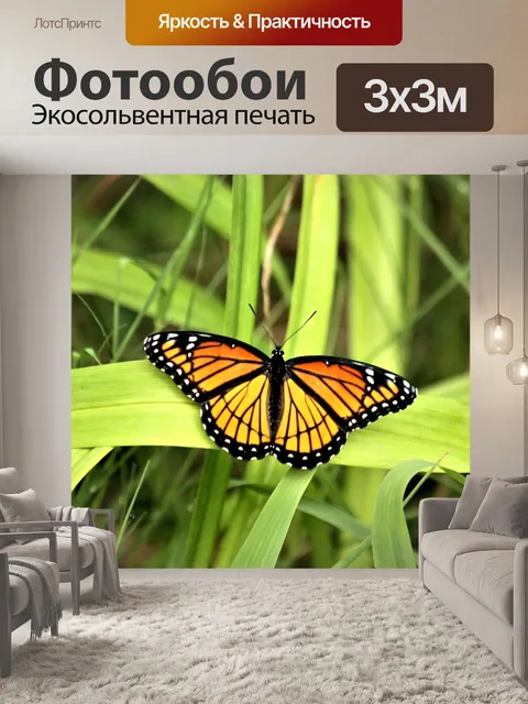 Фотообои Вицерия Бабочка на траве
