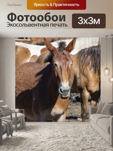 Фотообои лошадь