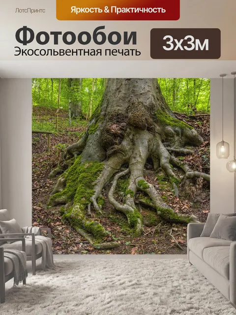 Фотообои Корень