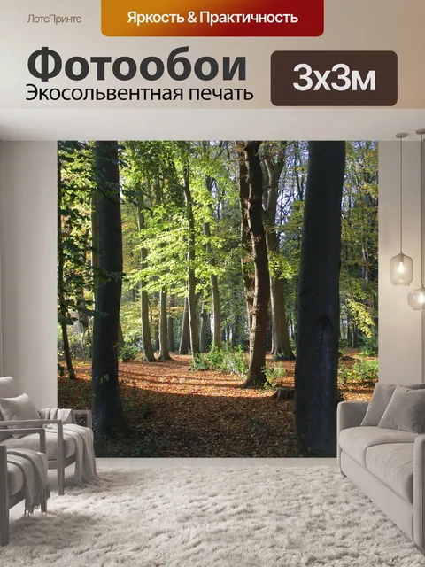 Фотообои Лес