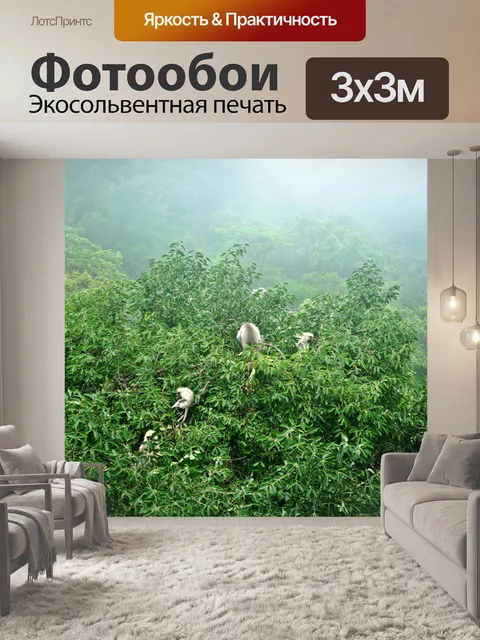 Фотообои Обезьяны завтрак